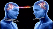 Mim GIF