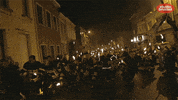 music for life de warmste week GIF by Studio Brussel