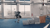 Atlas Robot GIF by BostonDynamics
