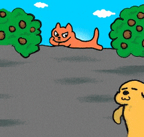 cat fun GIF
