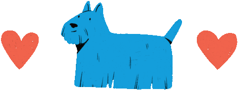 Scottish Terrier Love Sticker by Sarah Capon