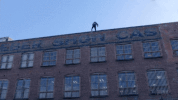 fail fox tv GIF by Brooklyn Nine-Nine