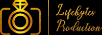 Wedding Photography GIF by LifeBytes