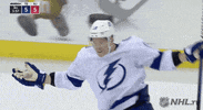 Ice Hockey Sport GIF by NHL