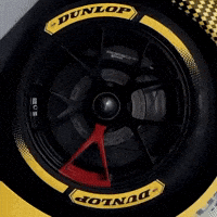 Porsche Gt3 GIF by Dunlop Tire NA