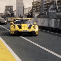 Racing Race GIF by Dunlop Tire NA