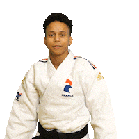 Happy Celebration Sticker by France Judo