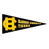 Flag Football Ghsa Sticker by GPB Sports