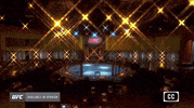 Sport Mma GIF by UFC