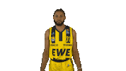 Ewe Baskets Basketball Sticker by EWE Baskets Oldenburg