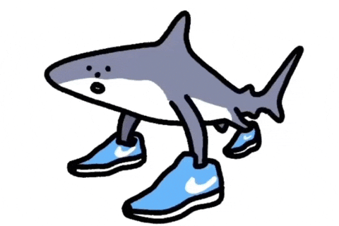 Dance Shark GIF