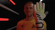 Germany Smile GIF by Bundesliga