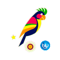 Carnaval De Barranquilla Caracoltv Sticker by Caracol Television