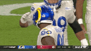 Los Angeles Rams Football GIF by NFL