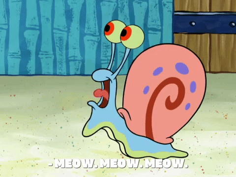 season 8 episode 22 GIF by SpongeBob SquarePants