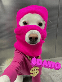 Dawg GIF