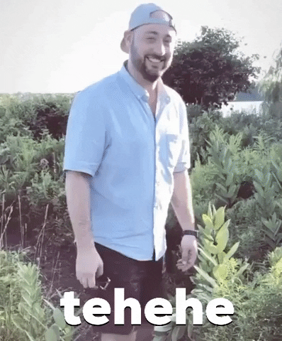 Giggle Lol GIF by I Love That For You