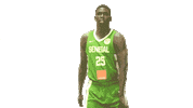 Game Basketball Sticker by FIBA