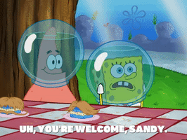 season 5 episode 10 GIF by SpongeBob SquarePants