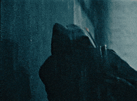 The Bear Rain GIF