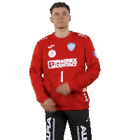 Handball Freezing Sticker by TBV Lemgo Lippe