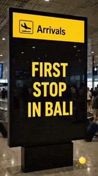 Airport Bali GIF by The Shampoo Lounge