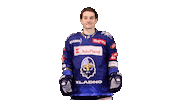 Hokej Sticker by Rytíři Kladno