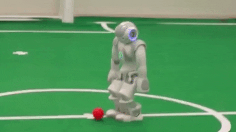 Soccer Fail GIF by College of Natural Sciences, UT Austin