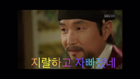 gyeom 한글 세종대왕 정치 지랄 GIF