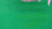 ExperimenMeatGrinder funny colorful candy meat GIF