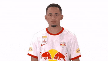 Celebration GIF by FC Red Bull Salzburg
