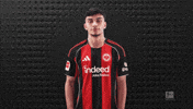Eintracht Frankfurt Hello GIF by Bundesliga