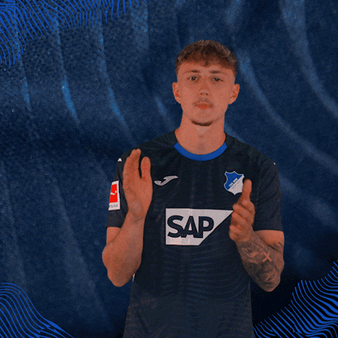 Sport Bundesliga GIF by TSG Hoffenheim