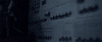 Silverlake Shorts GIF
