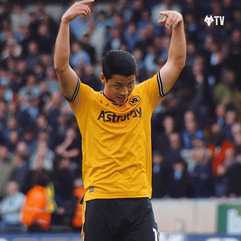 Celebrating Premier League GIF by Wolves