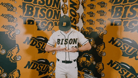 Baseball Bison GIF by NDSU Athletics