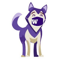 Uw Huskies Sticker by UofWA