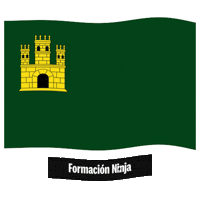Flag Spain Sticker by Formación Ninja