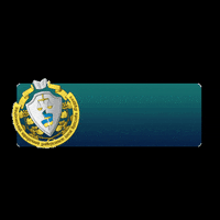 nlu_official nlu GIF