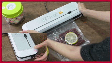 pallem giphygifmaker GIF