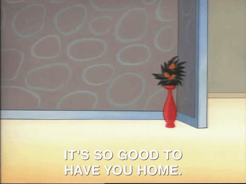 ren and stimpy nicksplat GIF