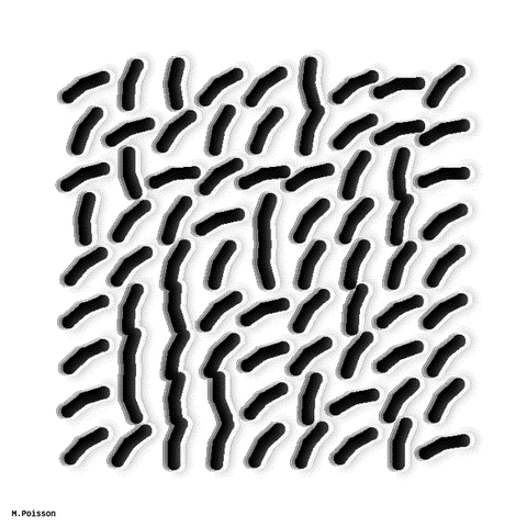 art code GIF by Michel Poisson