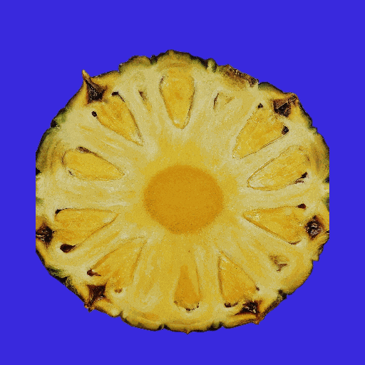 Summer Comida GIF