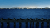 night lights GIF by Living Stills