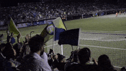 GVLTriumph soccer usl flags greenville GIF