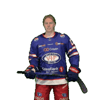 Herman Inn Sticker by VIF Hockey