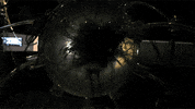 GIF by Digg