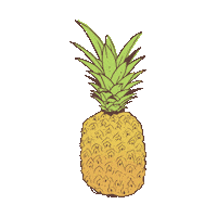 Fruit Pineapple Sticker by Snack Toronto Social Media Agency