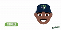 GIF by Gwinnett Stripers