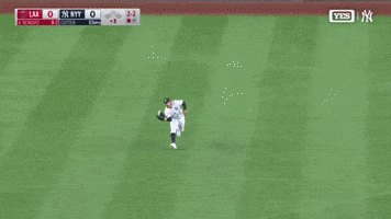 New York Yankees Sport GIF by MLB